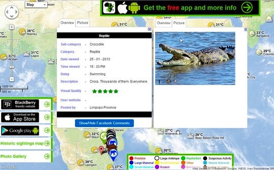 6 Handy Travel Apps to Use in South Africa