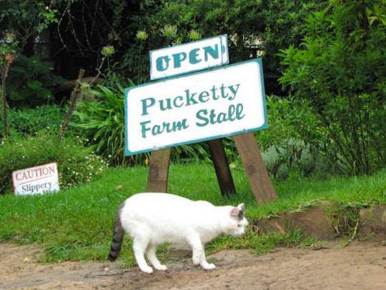 Pucketty Farm in Underberg, KZN