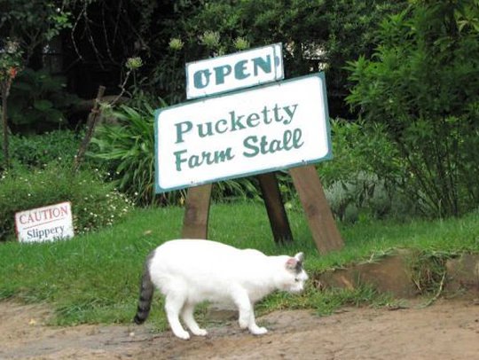 Pucketty Farm in Underberg, KZN