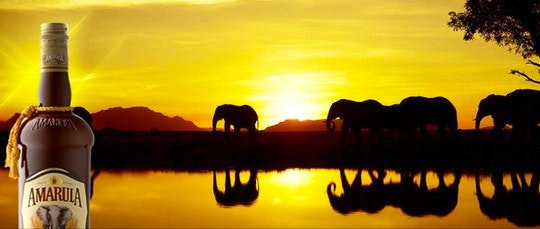 Amarula Lets You Track Elephants