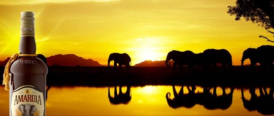 Amarula Lets You Track Elephants