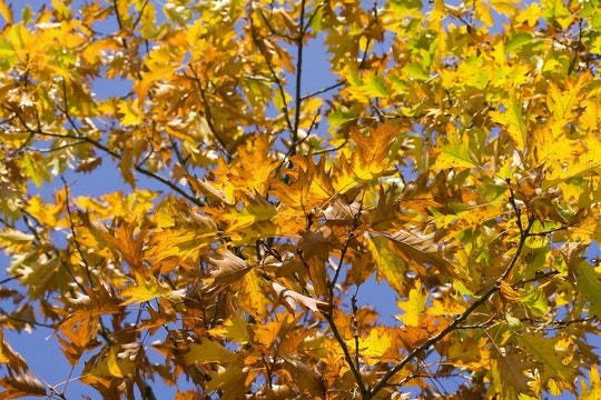 Top Accommodations for Autumn Romance in Limpopo