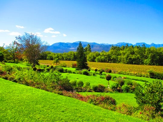 Wine Tasting in Franschhoek