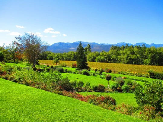 Wine Tasting in Franschhoek