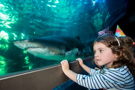 Kids Time at The Two Oceans Aquarium