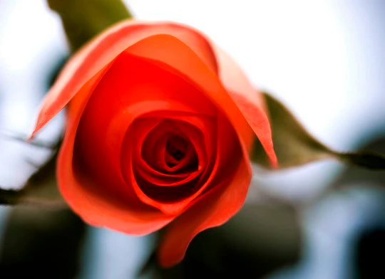 5 Romantic Gauteng Getaways