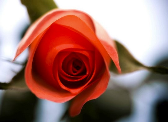 5 Romantic Gauteng Getaways