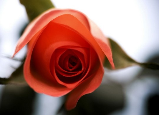 5 Romantic Gauteng Getaways