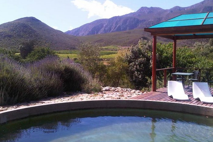 Pet Friendly Accommodation In The Western Cape Travelground Blog