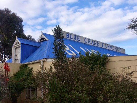 5 Farm Stalls Worth a Stop along the N2 in the Western Cape