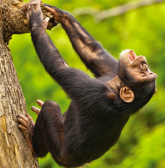 24 Hour City Guide to Nelspruit