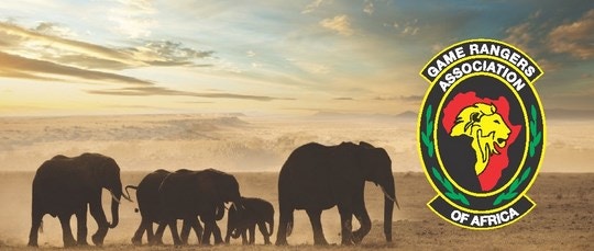 Jo’burg Zoo Celebrates World Ranger Day