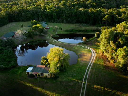 Top 3 Farm and Estate Stays in the Western Cape