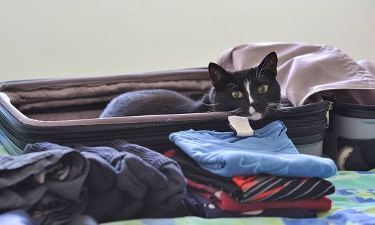 Packing by Dryfish (Flickr)