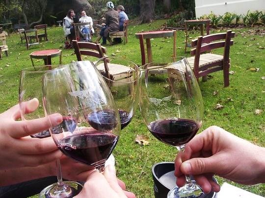 A Taste of the Constantia Wine Route