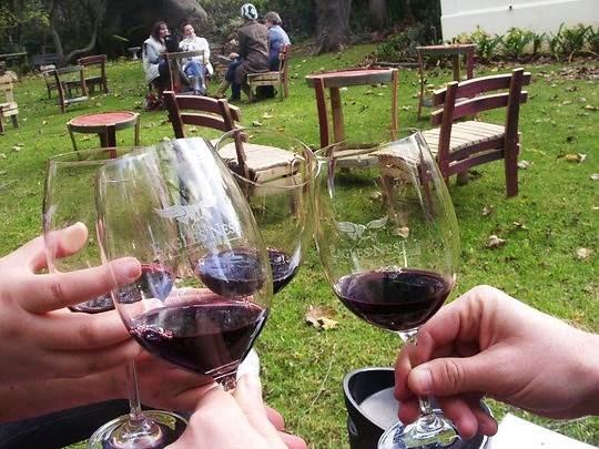 A Taste of the Constantia Wine Route