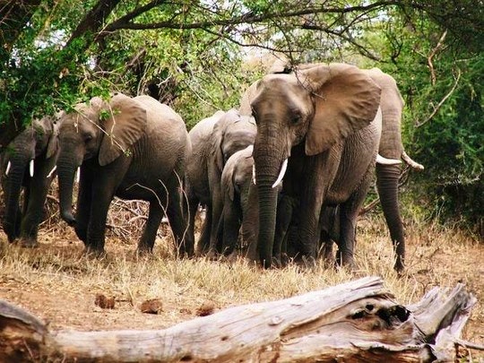 FREE entry to South Africa’s National Parks during SANParks Week