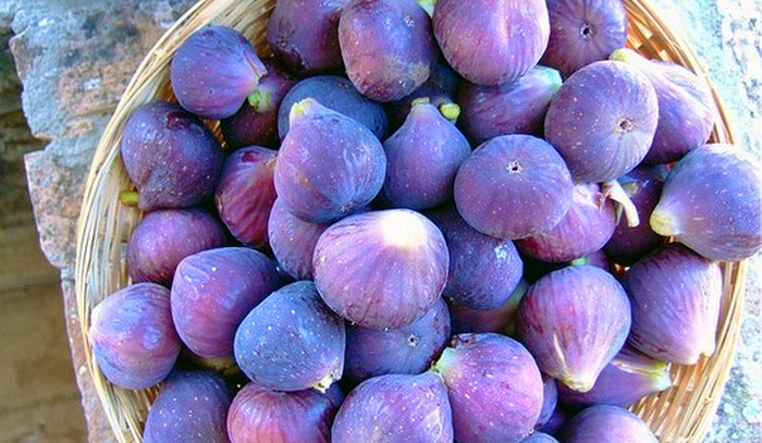 Fig Picking by Monica Arellano Ongpin (Flickr)
