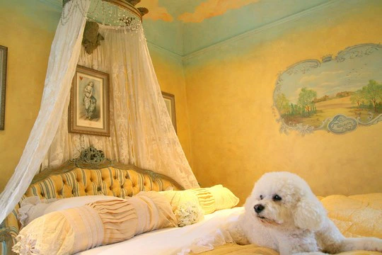 Pet Friendly Accommodation in KwaZulu-Natal