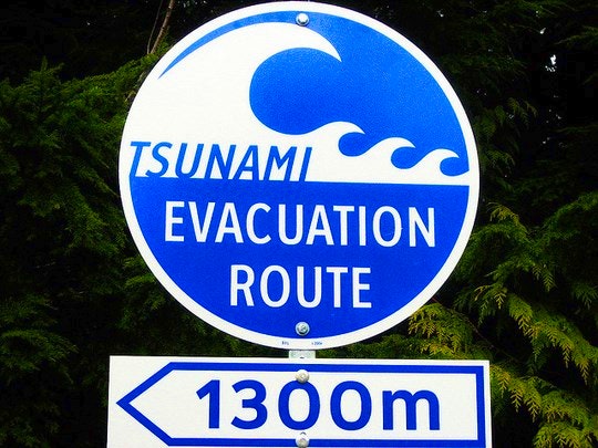 Evacuation route signs. By Quentin Meulepas (Flickr)