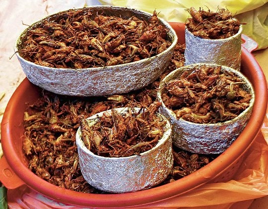 Fried grasshoppers. By Meutia Chaerani (Creative Commons)