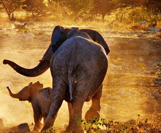 Spring has Sprung in South Africa