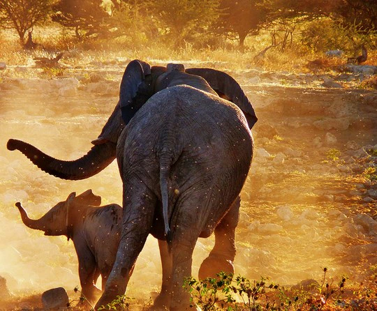 Spring has Sprung in South Africa