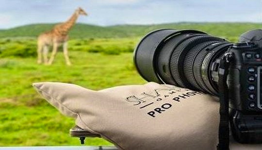 3 Exclusive Holiday Experiences at Shamwari Game Reserve