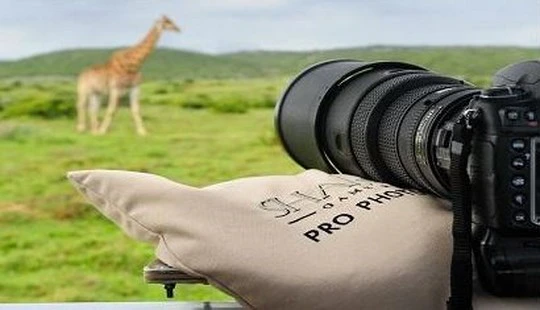 3 Exclusive Holiday Experiences at Shamwari Game Reserve