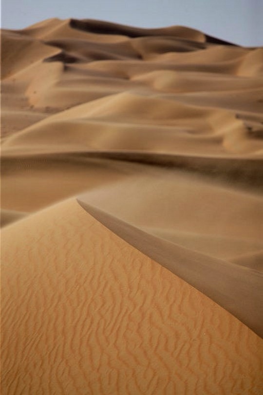 Sand Dunes in Namibia during spring-summer. By Worldwide Happy Media (Creative Commons)