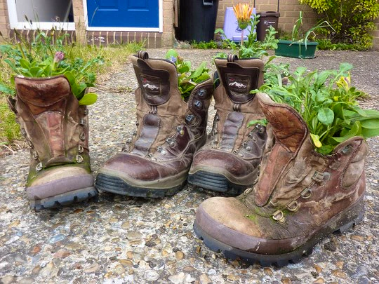 What to Pack for a Day Hike