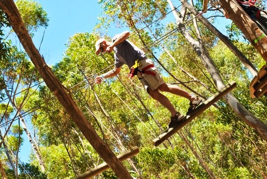 The Incredible Insider’s Guide to Cape Town