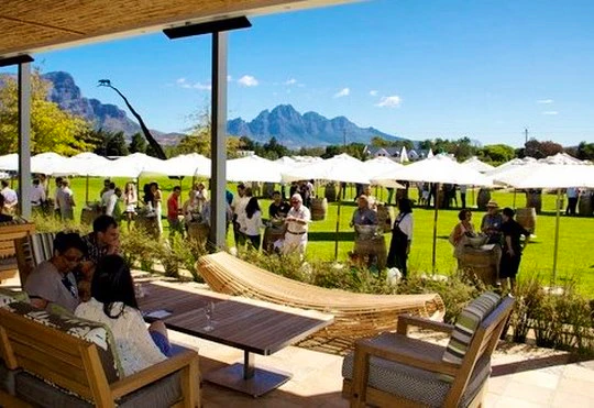 5 Entertaining Reasons to Visit the Winelands in the New Year