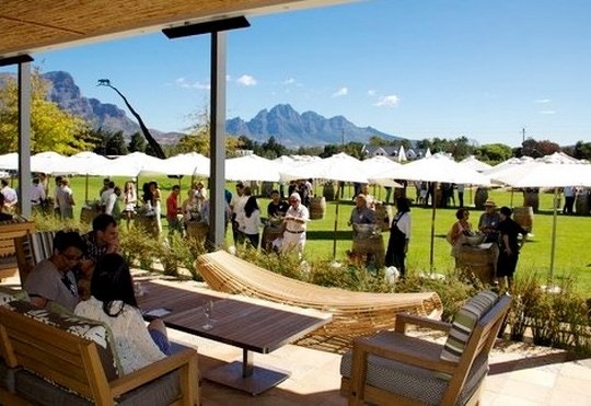 5 Entertaining Reasons to Visit the Winelands in the New Year