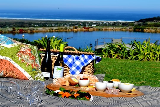25 of the Best Picnic Spots in South Africa