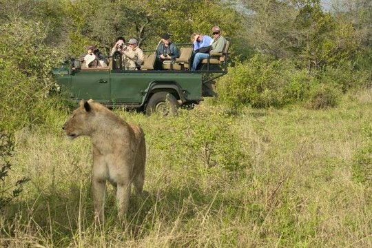 nDzuti Safari Camp (TG)