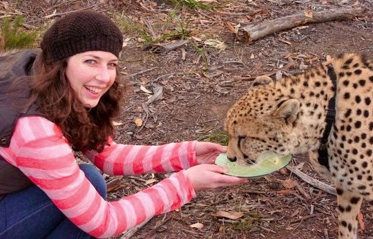 14 Things to Add to Your 2014 Travel Bucket List