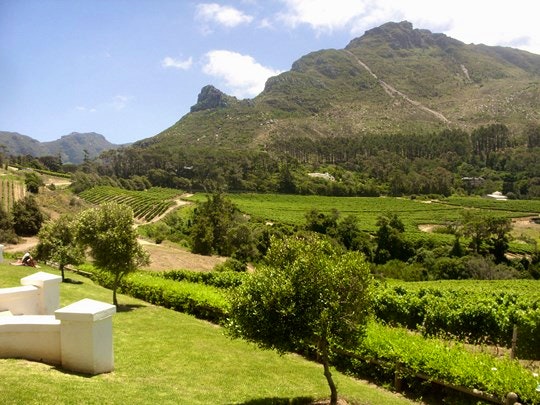 There’s Something New at Constantia Glen