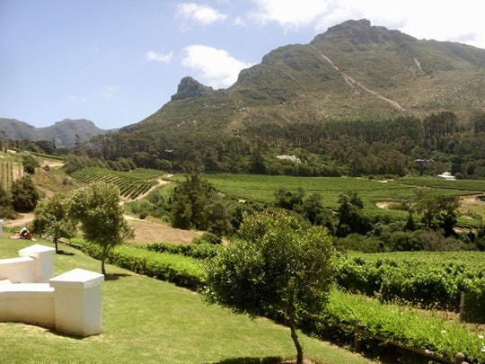 There’s Something New at Constantia Glen