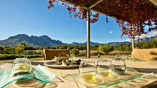 Wine and olives at Morgenster Estate 