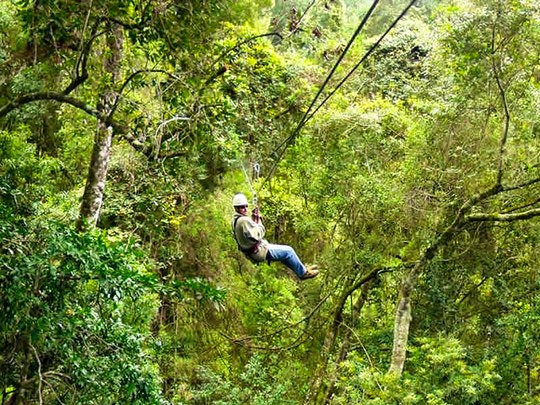 Adventure Tourism in the Enchanting Tsitsikamma Region