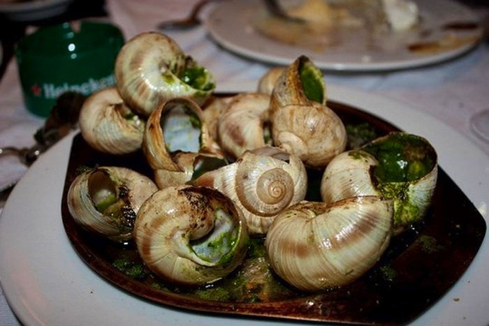 Snails by mmcdejong (Flickr)