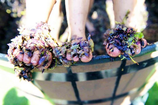 10 Harvest Festivals Your Toes are Itching to Get to