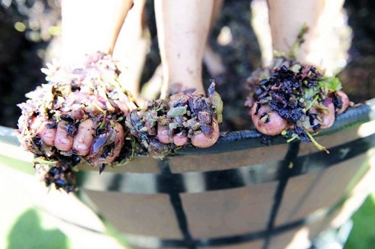 10 Harvest Festivals Your Toes are Itching to Get to