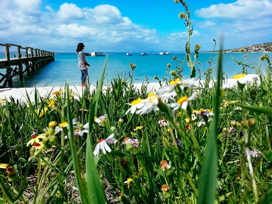 7 Local Travel Bloggers Share Their Favourite Hidden Gems