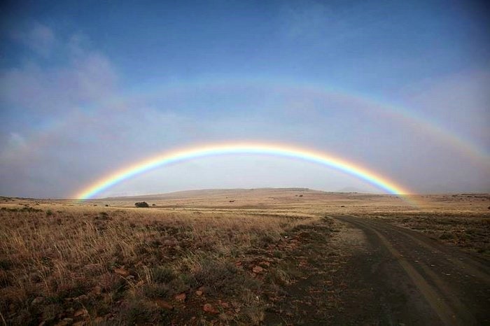 MountainZebraNP-rainbow-by-Leo-za1