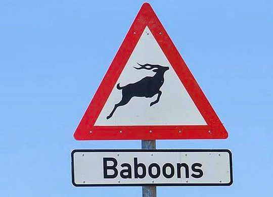 Funny signs spotted in South Africa