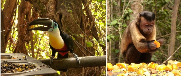 Birds of Eden and Monkeyland are a great stop with your mother (C) TravelGround
