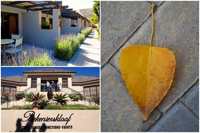 Piekenierskloof Mountain Lodge – A TravelGround Review