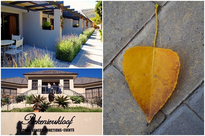 Piekenierskloof Mountain Lodge – A TravelGround Review